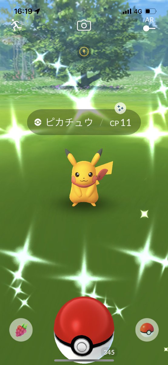 さちゃん@ポケモンGO🇯🇵 tweet media