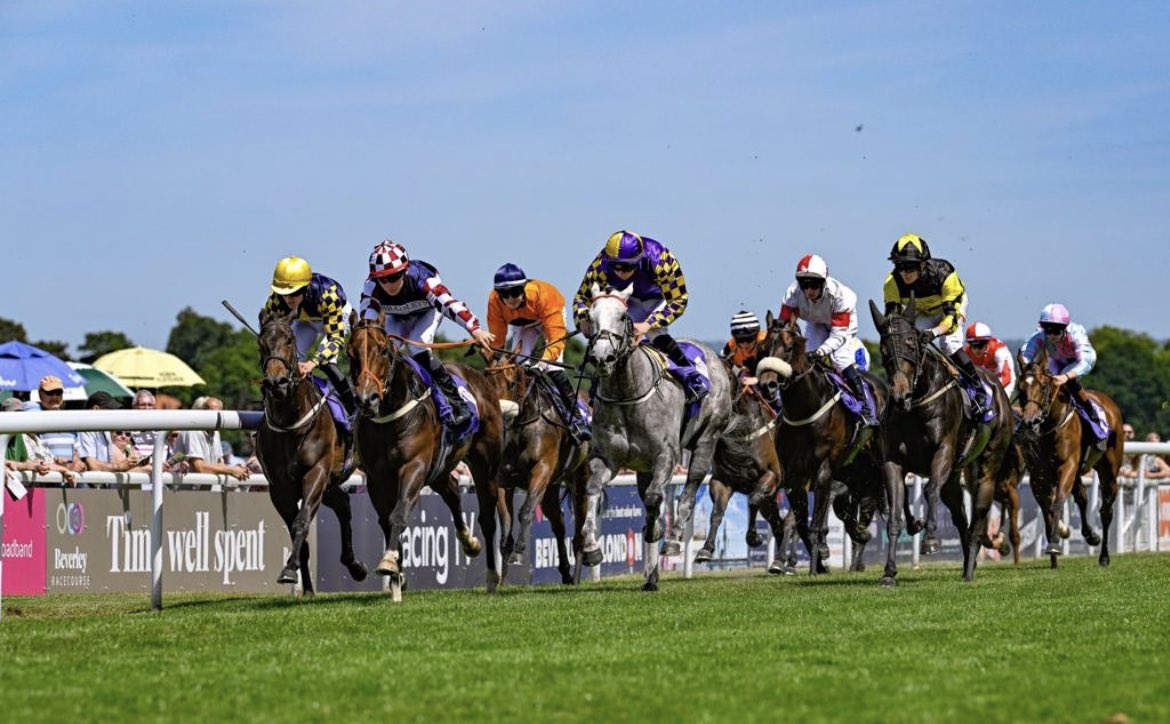 Stoneleighracin's tweet photo. Sherdil is running in the 3.45 @Beverley_Races today , trained by @ptmidgley and ridden by @RyanSexton9 . Fingers crossed he can make it 3 from 3 at the course.
#itvracing #racing #horseracing #racehorse #winner #win #3timer #beverley https://t.co/2RNghRVoqp