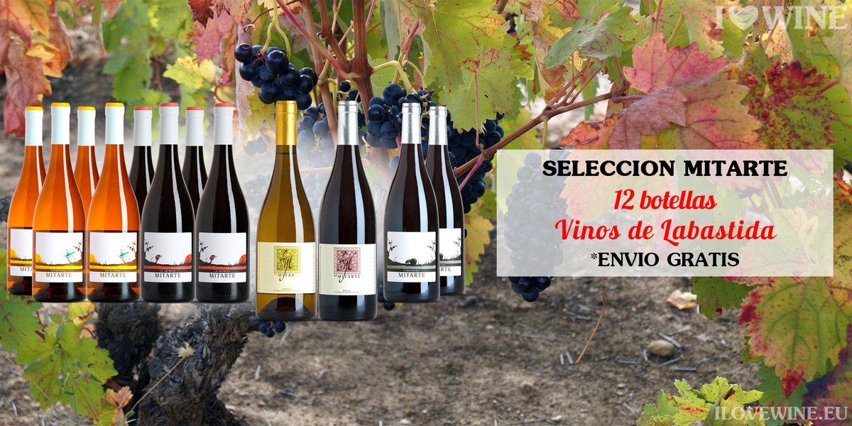 ILOVEWINE_es's tweet photo. .Nuestros packs son una muy buena forma de descubrir diferentes vinos de cada Bodega en cajas de 12 botellas. 

Hoy te recomendamos el #Mitarte, con la siguiente #selección de #Vinos de #Labastida 

https://t.co/6bITWIWvT6

✔ #EnvíoGratis https://t.co/xz3LLWegxg