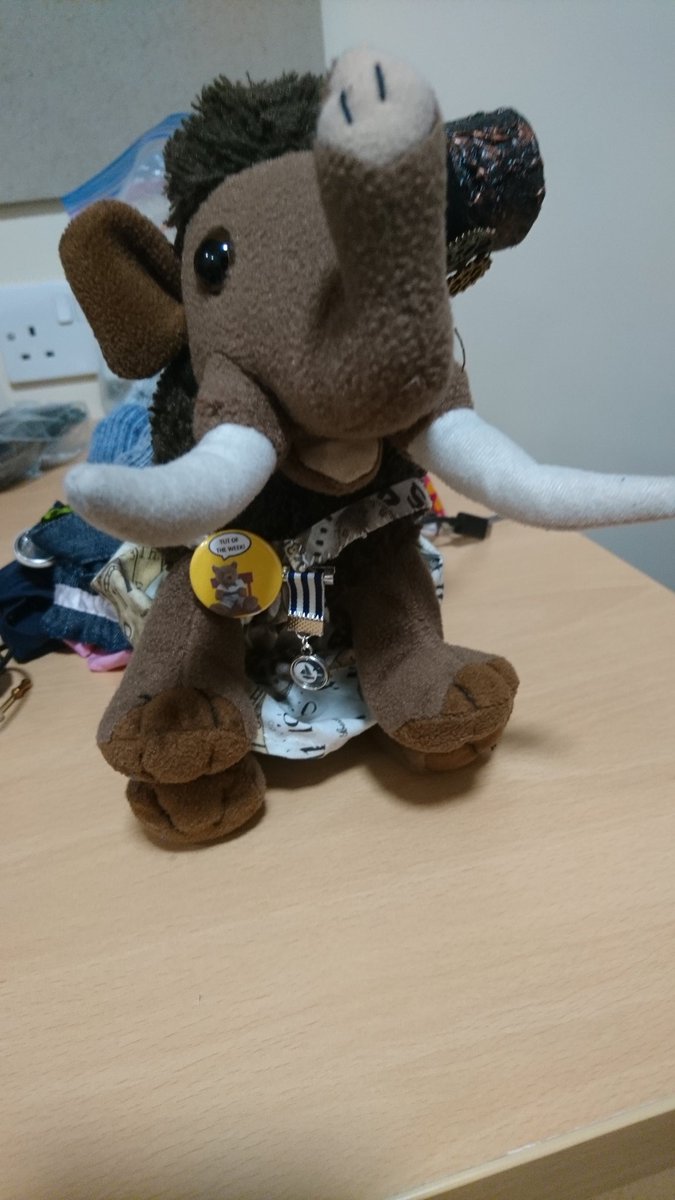 RedditchMammoth's tweet photo. I can't believe it! Prof W sent me a badge!! Who'd have thought that trying to be #helpfulbears would get the honour of being 'Tut of the Week'? I'm so honoured! 😍😇 (Blueberry Bear and I are currently trying to untangle ourselves from Human's outfit). #SteamBears https://t.co/cOdGOOFJ0x