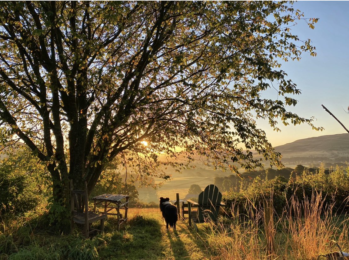 Saturday Sunrise 🌅 with Shadow… such a beautiful morning .. feeling that early August gilded glow #shepherdess #sunrise #dog #sun #farm #farmphotography #countryside #countrygirl #sheepdog #harvest @NFUCountryside