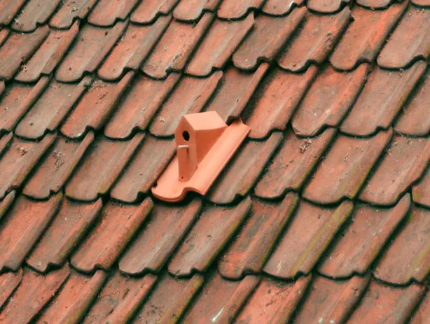 NaoCasanova's tweet photo. Algunas empresas de algunos países fabrican TEJAS PAJARERAS.

Habida cuenta de que muchas aves ya anidan directamente sobre los tejados, estas tejas les proporcionan un refugio, y además están provistas de ventilación y una rejilla para limpiarlas tras el periodo de reproducción. https://t.co/JuXtuXpDwY