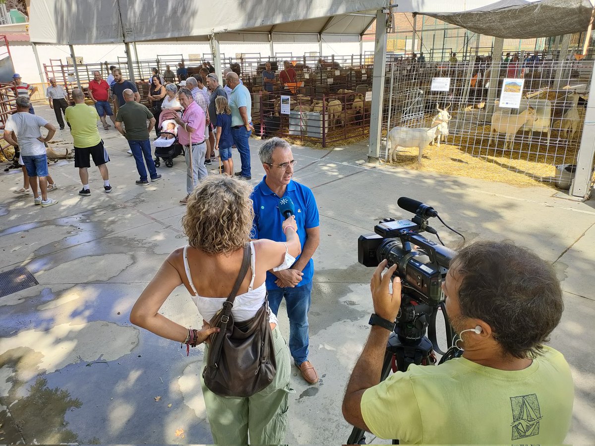 expohuelma's tweet photo. ExpoHuelma hoy en los informativos de @canalsur 📺🐐🐏
 
#ExpoHuelma #EH22 #ExpoHuelma2022 #AyuntamientodeHuelma #Huelma #SierraMagina #muchoquever #maginaenhuelma #descubremagina #vivemagina https://t.co/OE7FoSN0Vq