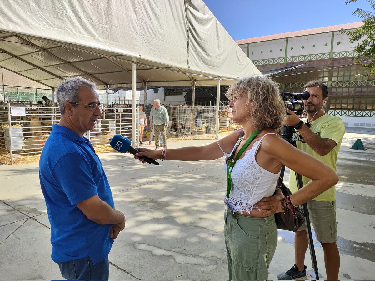 expohuelma's tweet photo. ExpoHuelma hoy en los informativos de @canalsur 📺🐐🐏
 
#ExpoHuelma #EH22 #ExpoHuelma2022 #AyuntamientodeHuelma #Huelma #SierraMagina #muchoquever #maginaenhuelma #descubremagina #vivemagina https://t.co/OE7FoSN0Vq