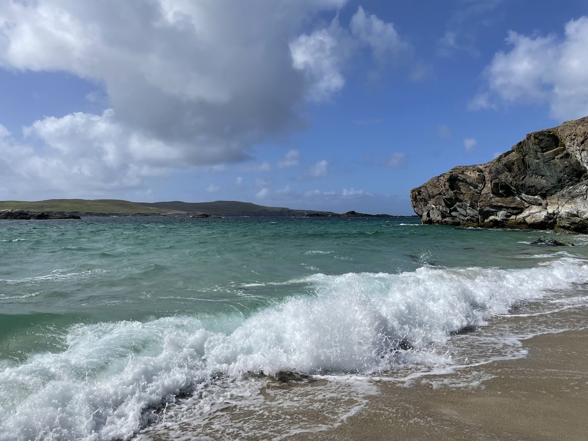 James Shaw tweet media