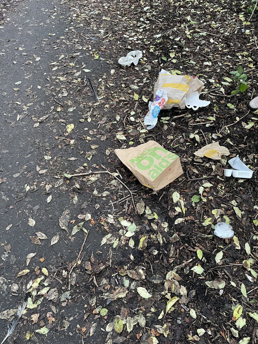 waddells74's tweet photo. 6.30a.m the stinkers! Now I can change this ! Or complain about this! What would you do??? 💕 #BBCMakeADifference @NorthWildlife 🐿 🦡 🦊 🐇 🐸 🦔 🐁 🐌 🐞 this is the wildlife’s living room… @Stevewal63 @des_farrand @CapnSasquatch @LittleJohn_MD @endelstamberg @loraineswift1 https://t.co/vykbOnZYs7