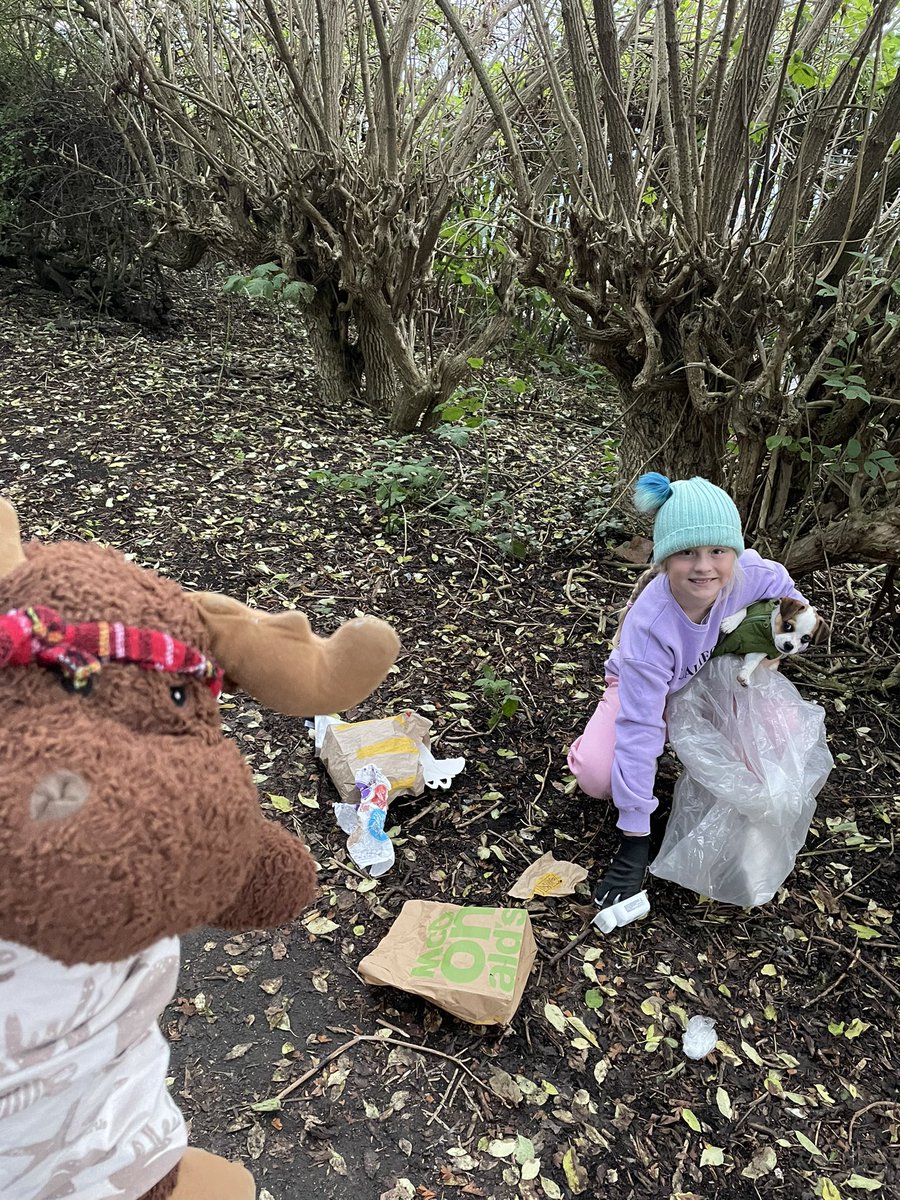 waddells74's tweet photo. 6.30a.m the stinkers! Now I can change this ! Or complain about this! What would you do??? 💕 #BBCMakeADifference @NorthWildlife 🐿 🦡 🦊 🐇 🐸 🦔 🐁 🐌 🐞 this is the wildlife’s living room… @Stevewal63 @des_farrand @CapnSasquatch @LittleJohn_MD @endelstamberg @loraineswift1 https://t.co/vykbOnZYs7