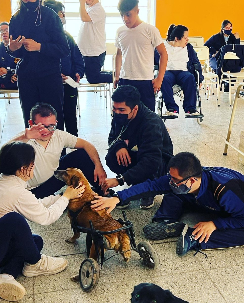 canichones's tweet photo. ANGELES con ANGELES !!! 

Gracias infinitas a los Profes que nos invitaron a pasar esta mañana hermosa rodeados del amor más grande que existe. 

El PODER del AMOR !!! 

#SantiagoDelEstero #REFUGIOElMontecito #CANICHONES #AMORPURO #AngelesConAngeles #ASAIM https://t.co/ydMGnnyBQV