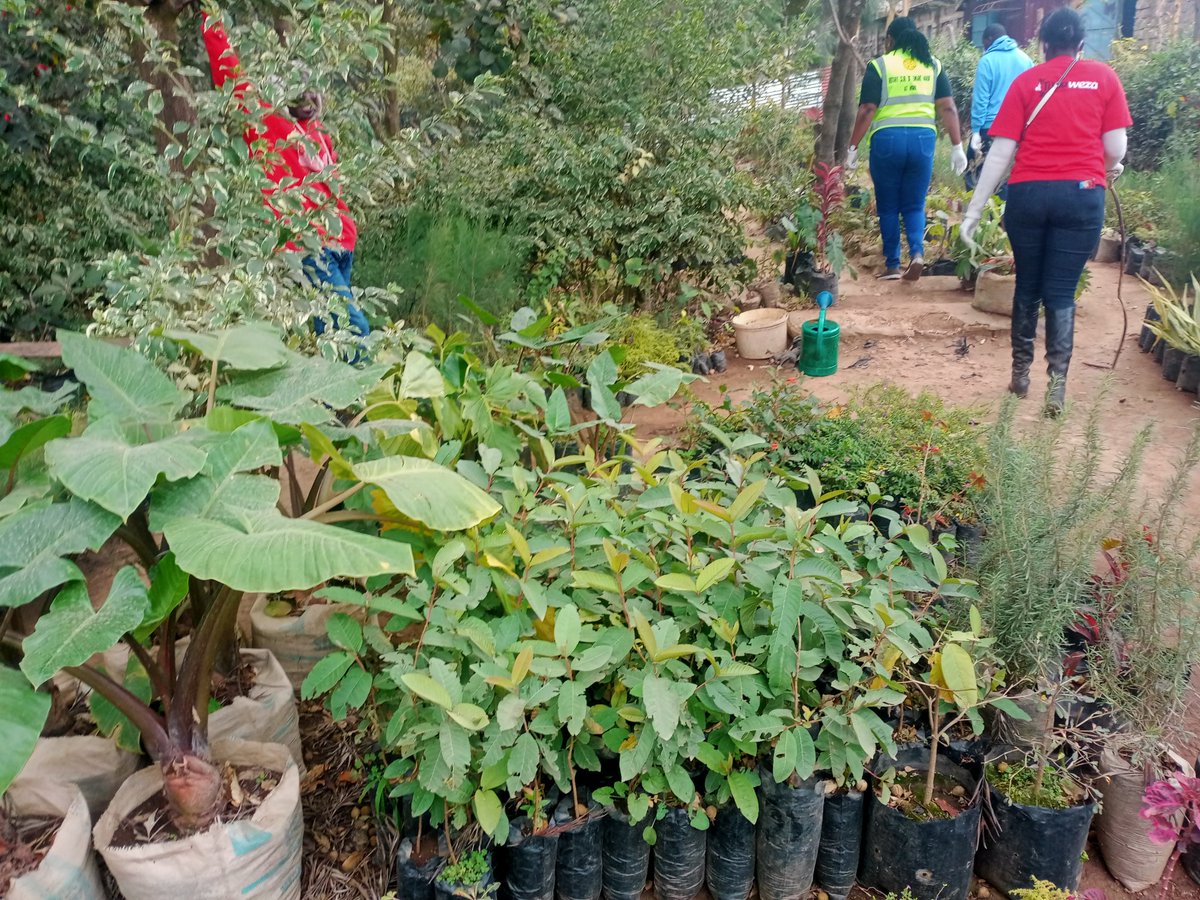 NarokYouthPa's tweet photo. Today some of the House members joined @AfyAfrika ,@LEAPAfrica @DowNewsroom @elfafrica1 in cleaning River Narok and it's environs in an effort to conserve and promote environmental conservation!
#YouthsDay2022
#Youthfulanduseful
#ELFat10 https://t.co/5ytVh5MsLS