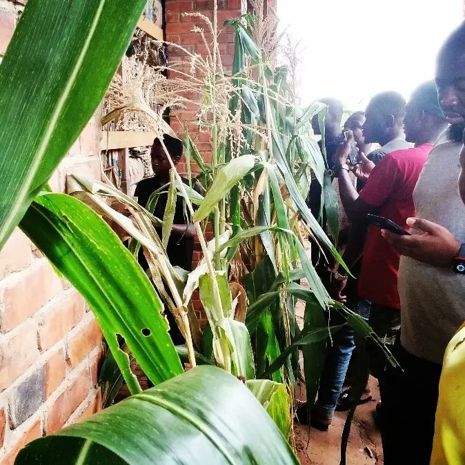 SanatuZambang's tweet photo. Latif was 11years old when @ibrahim_mahama began the construction of #RedclayStudio — Latif, now 16years old & can fly the drone, teach other community kids instruction on how to fly the drone in their native language & also serves as a tour guide
Read https://t.co/XZKE81wASc https://t.co/zEexs1hmqW