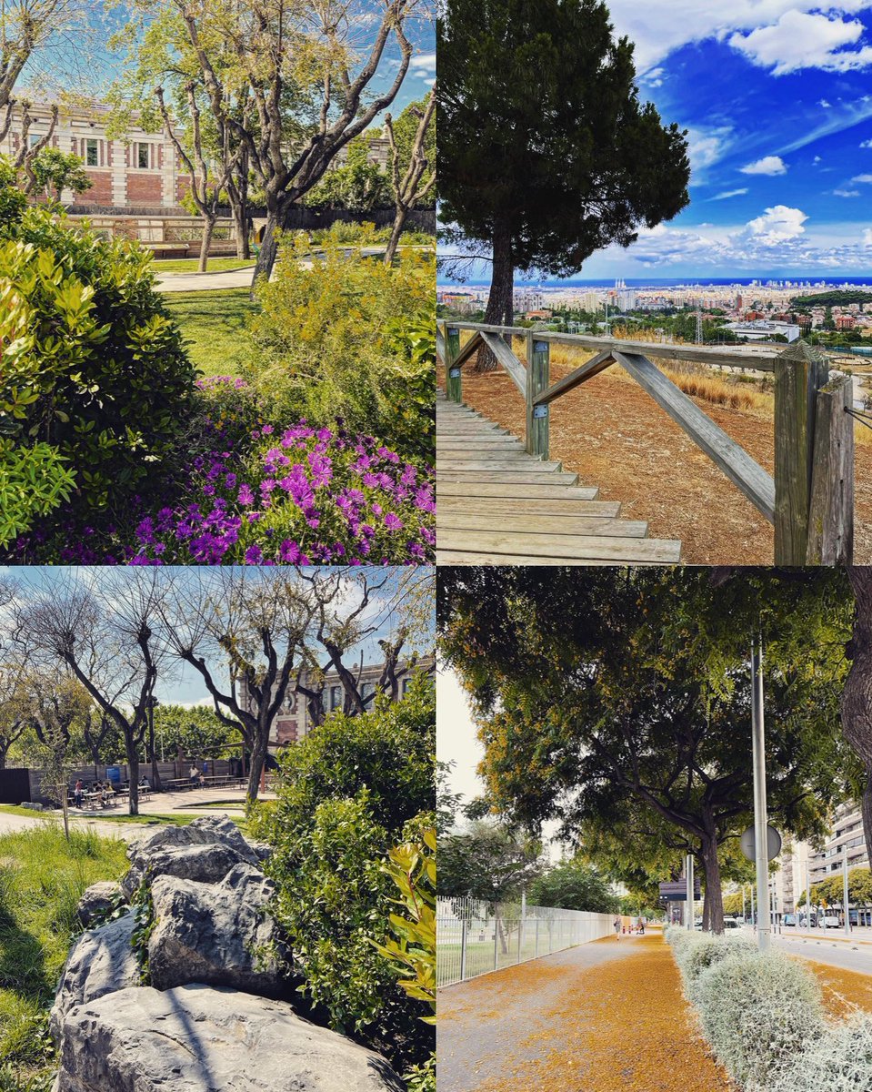 August 2022 🍀🌳🌱.