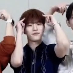 feattdno's tweet photo. dino so cute 🐶🐱 https://t.co/fNFxnncD9c