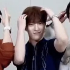 feattdno's tweet photo. dino so cute 🐶🐱 https://t.co/fNFxnncD9c