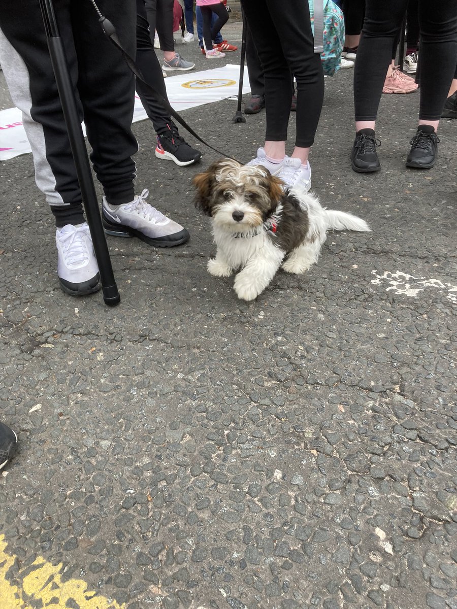 AngelaTaylor63's tweet photo. @celebrateabdn our youngest participant, Sam 4 months @celebrateabdn #celebrateaberdeen https://t.co/j0F7xNaF21