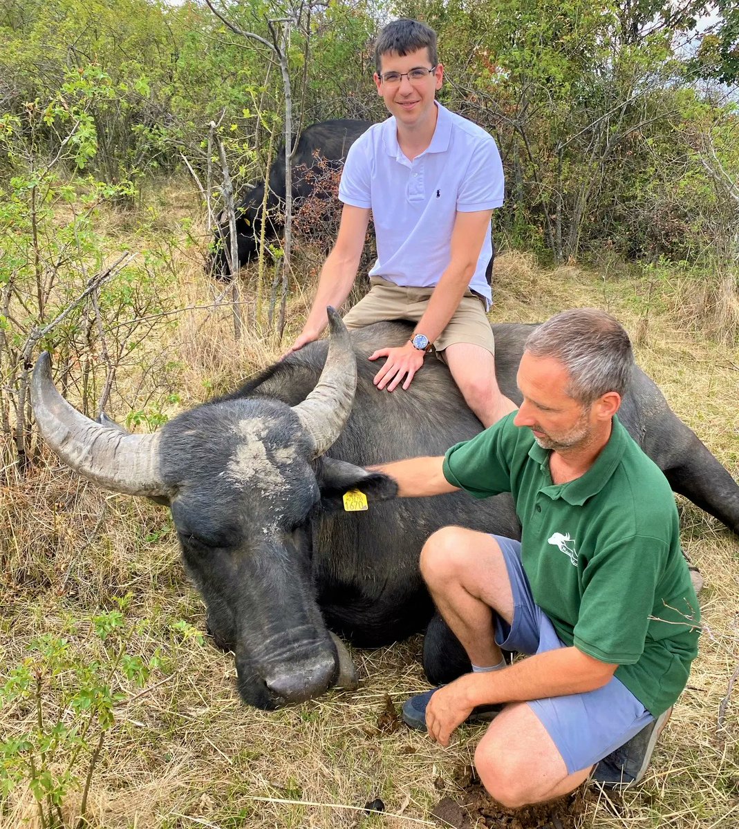 A huge thank you to Feri and everyone at the Matrai Bivalyrezervatum it was an experience of a lifetime to see the animals in their natural habitat and to meet legends like Béla the water buffalo up close.