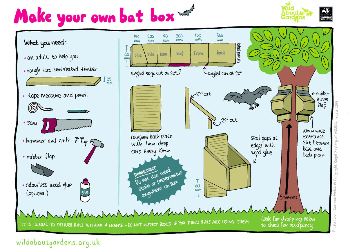 ShropsWildlife's tweet photo. All our bats are insect-eaters, so having a few flitting around might just make those evenings in the garden a little less buggy! ๐ฆ
#InternationalBatNight #BatsUK #GardenDIY https://t.co/XyBcAUIOps