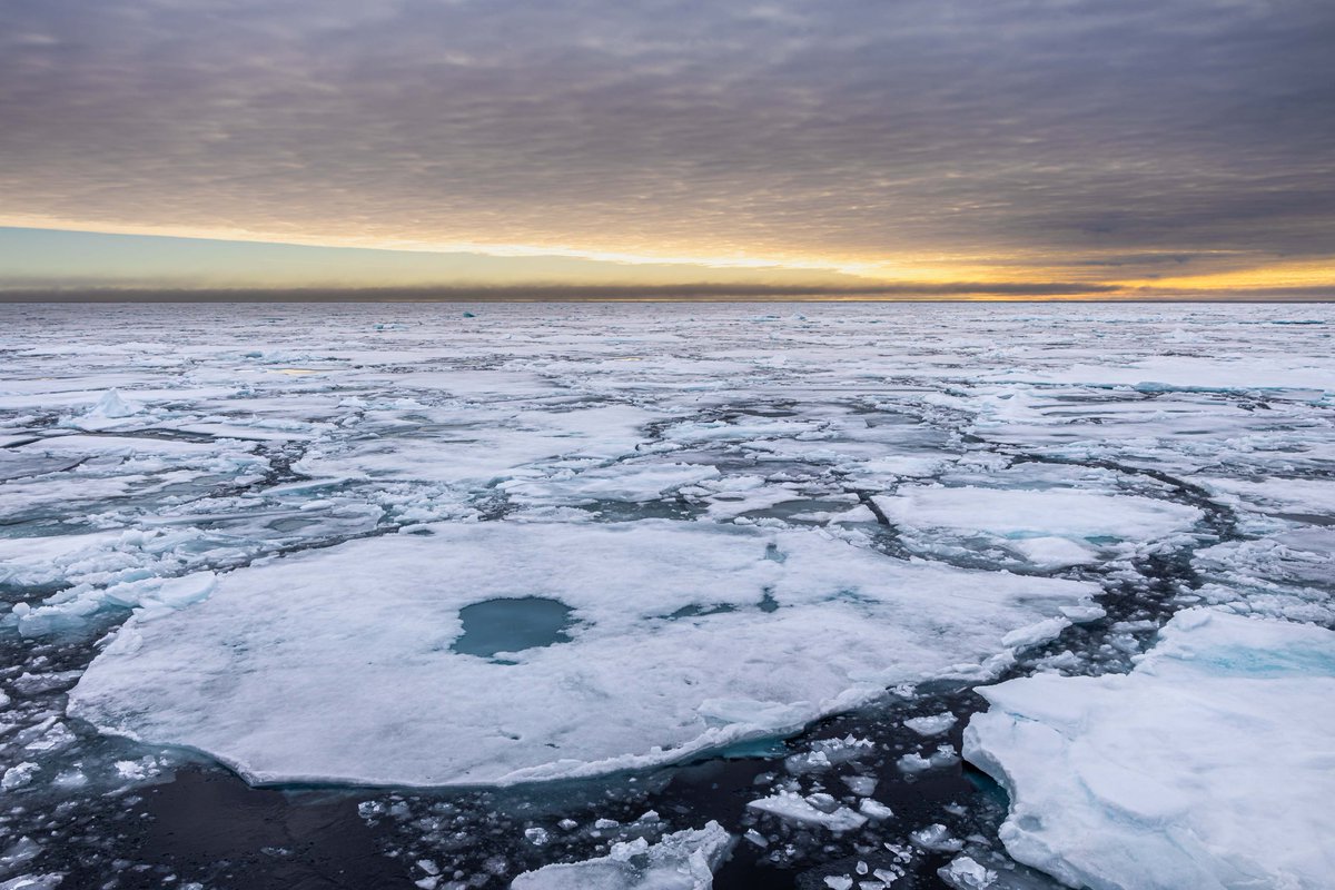 OceanwideExp's tweet photo. Pretty, pretty #packice 😍
Pictures by Werner Kruse and Miriam Vermeij. https://t.co/opJRWQstvN