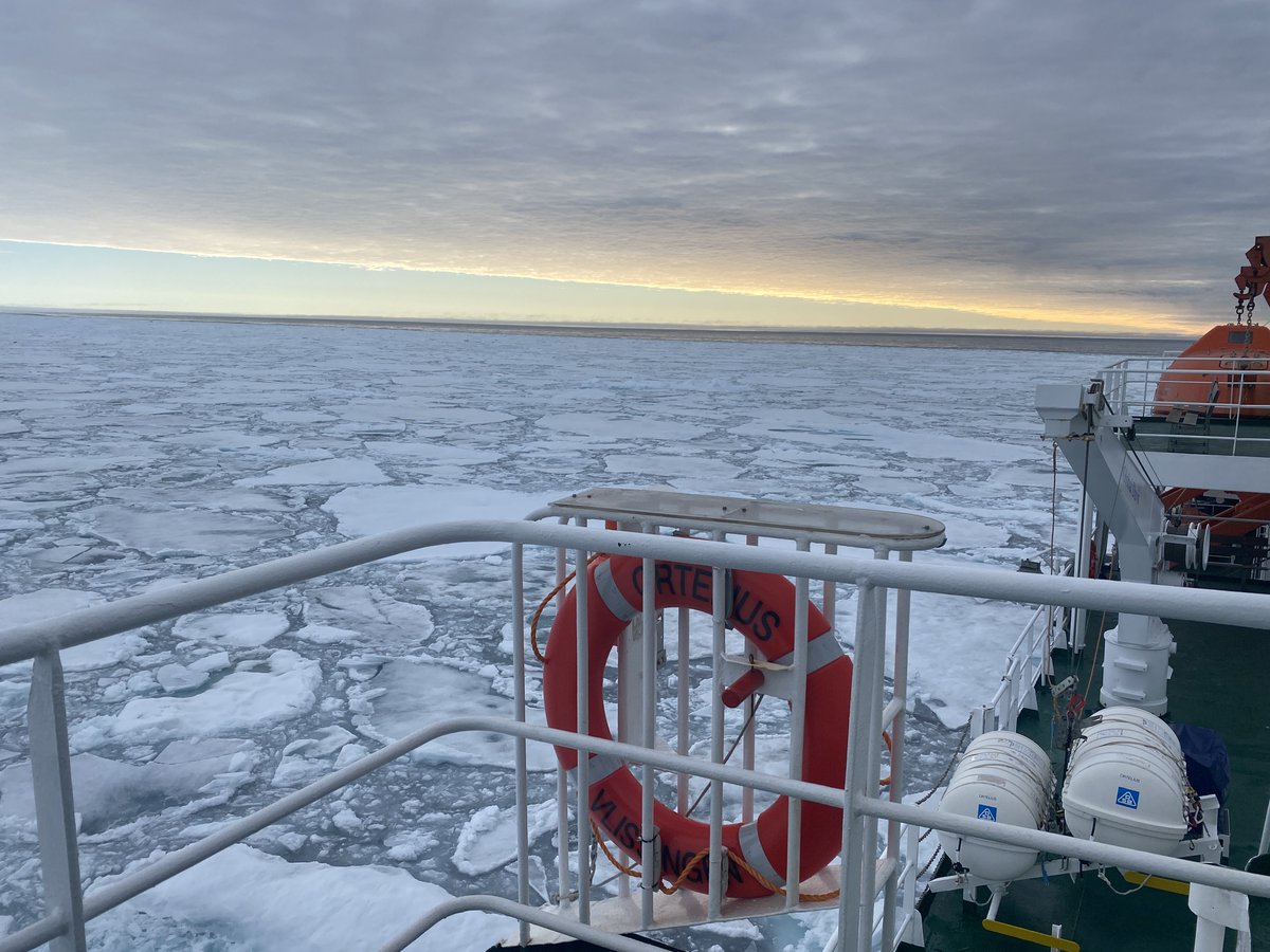OceanwideExp's tweet photo. Pretty, pretty #packice 😍
Pictures by Werner Kruse and Miriam Vermeij. https://t.co/opJRWQstvN