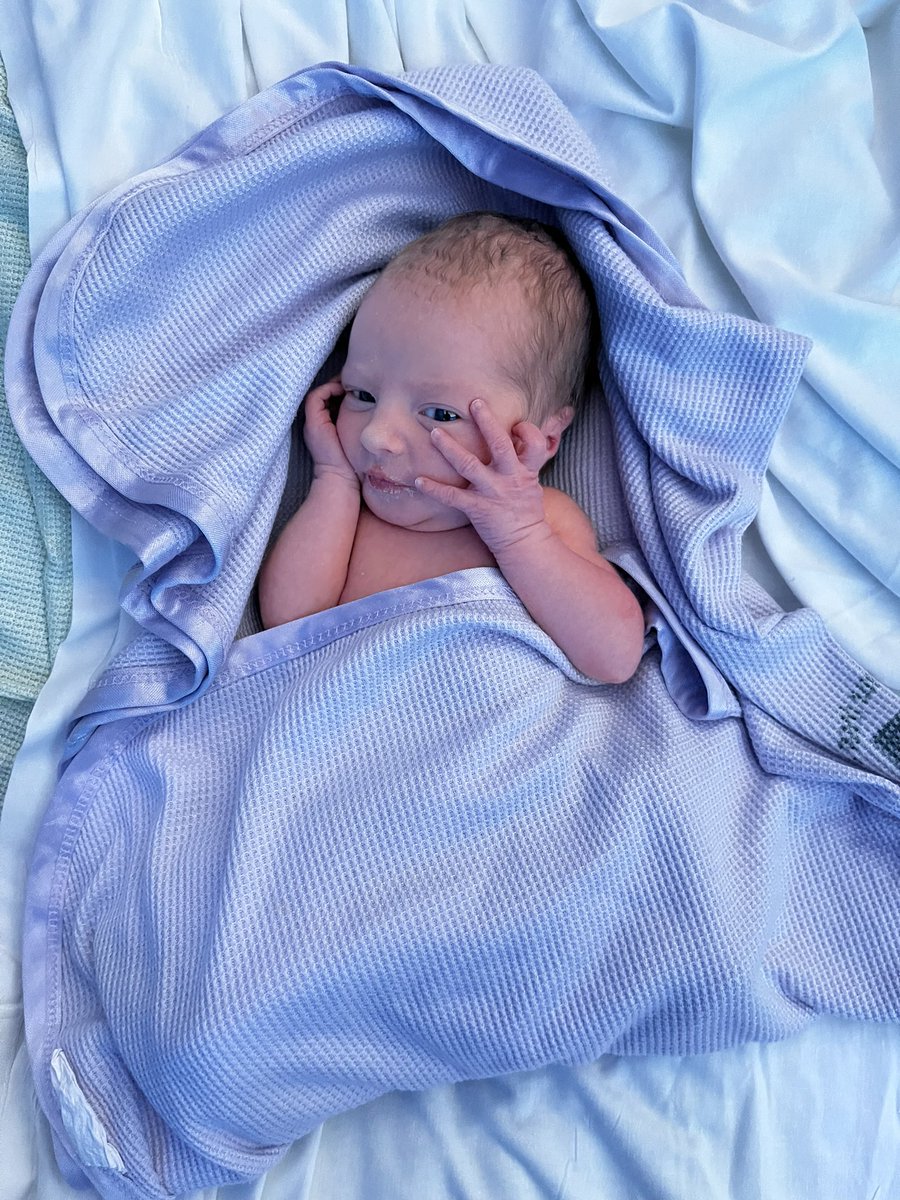 Mr Walsh tweet media