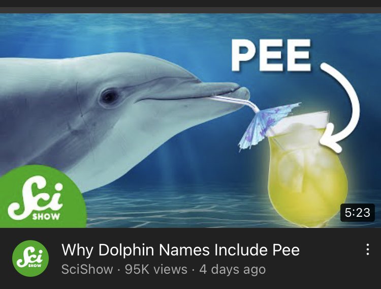princeofmints's tweet photo. Logging into main for the first time in weeks just to post this video thumbnail that made me scream laugh into a coughing fit https://t.co/pixdF1W7KN