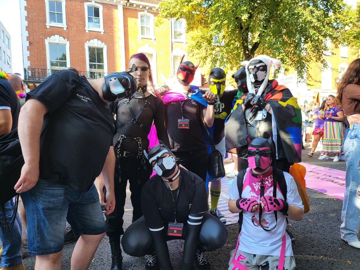 PupHouseUK's tweet photo. https://t.co/cOqkeI4XYy