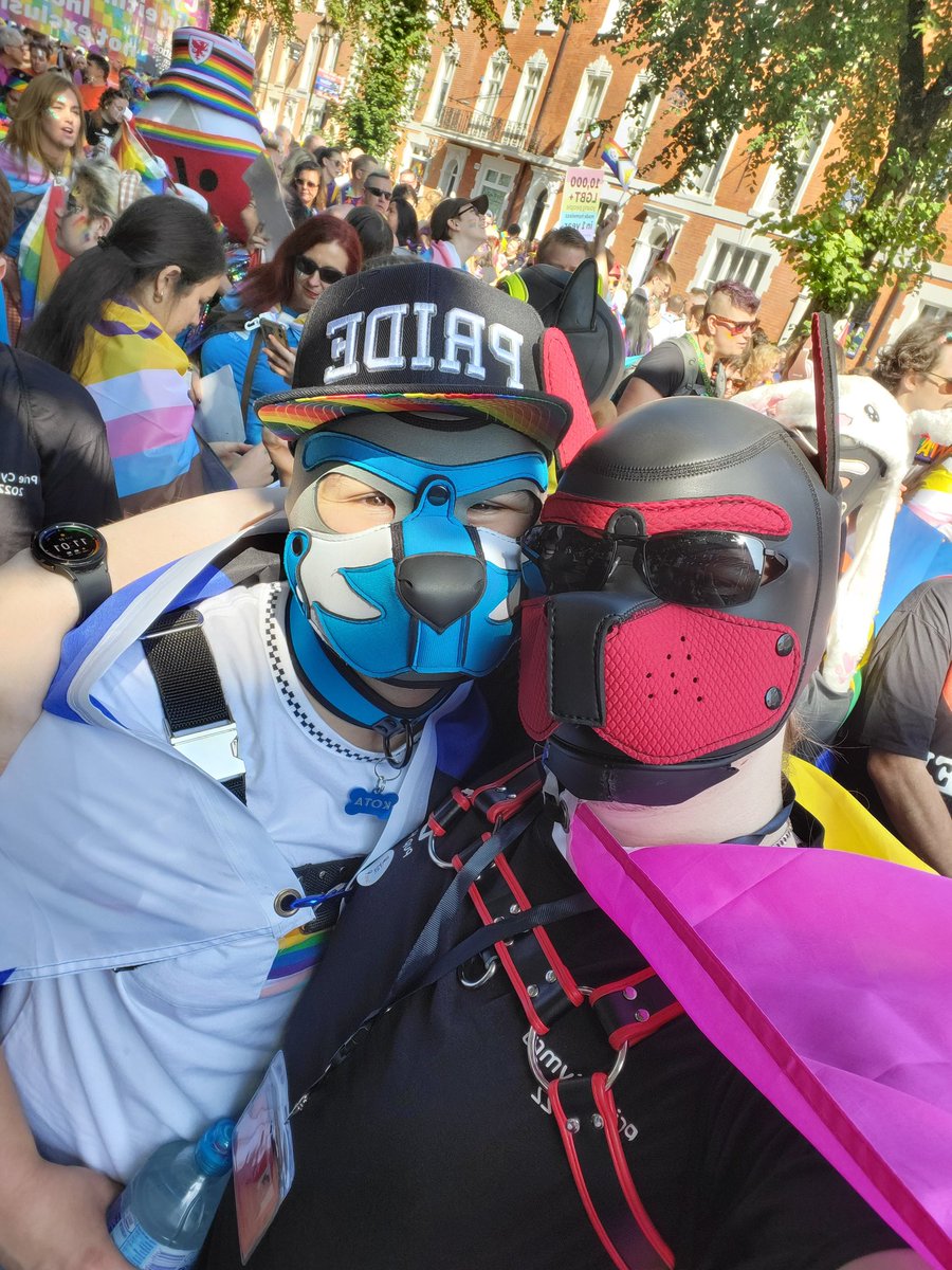 PupHouseUK's tweet photo. https://t.co/cOqkeI4XYy