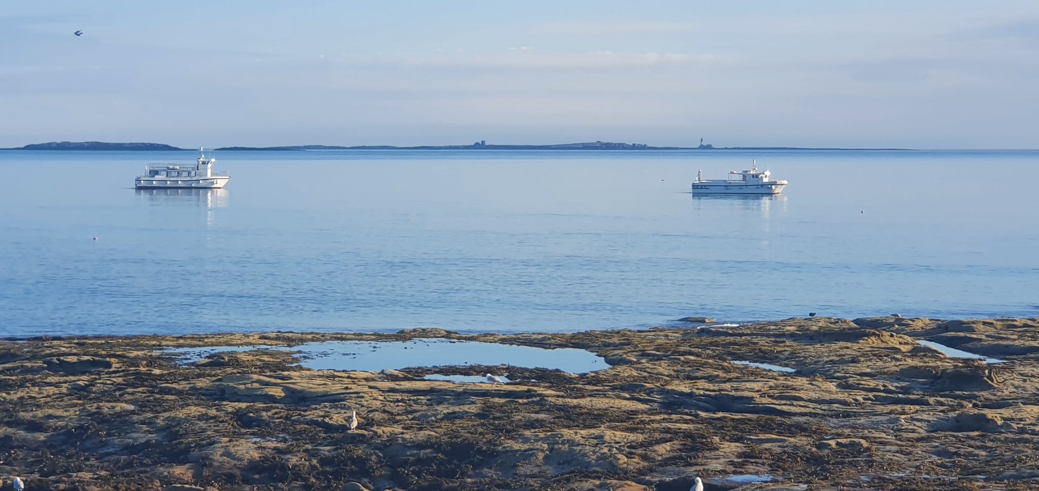 Andrew Douglas on Twitter "Another amazing start to the day. I'm not