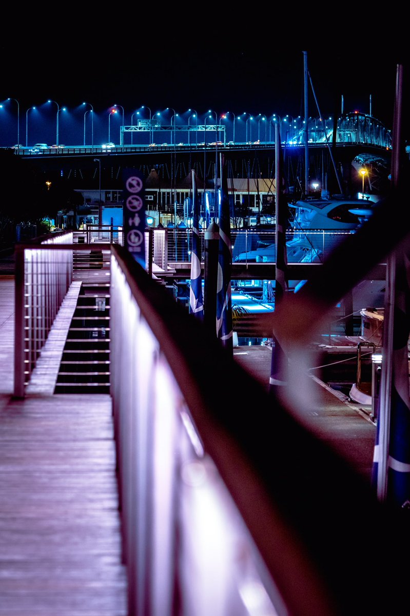 Marina lights and the bridge at night.