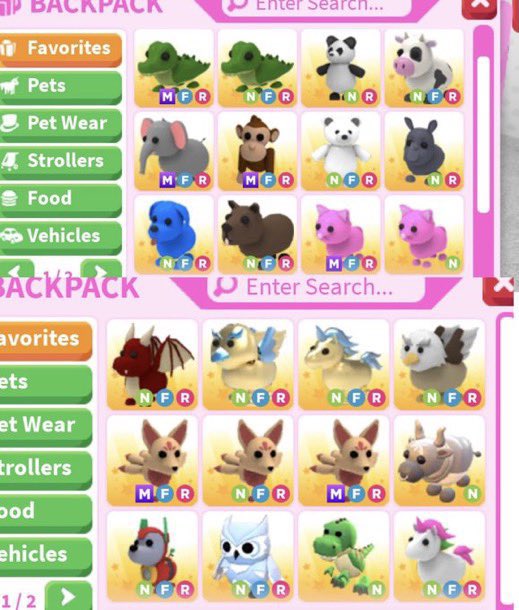 Pet store(selling everything) 100+ proofs🍀 tweet media