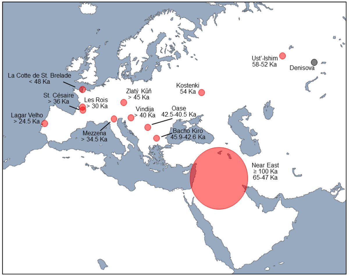 robertosaezm's tweet photo. Midfacial Morphology and Neandertal–Modern Human Interbreeding: "the results are consistent with the Near East having played an important role in the introduction of Neandertal genes into the genomes of living humans" https://t.co/w6SwROAt91 https://t.co/Q1AVc4Z7ad