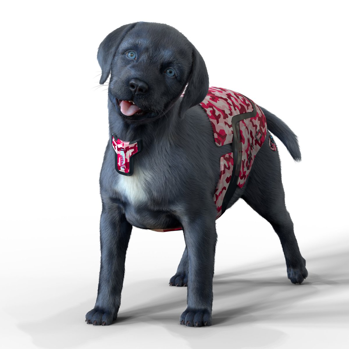 TheDigitalDogs's tweet photo. Is it a Boy or a Girl ?
#labrador #LabradorRetriever #digitaldog #nft #ai https://t.co/Yg8QXC9pAa
