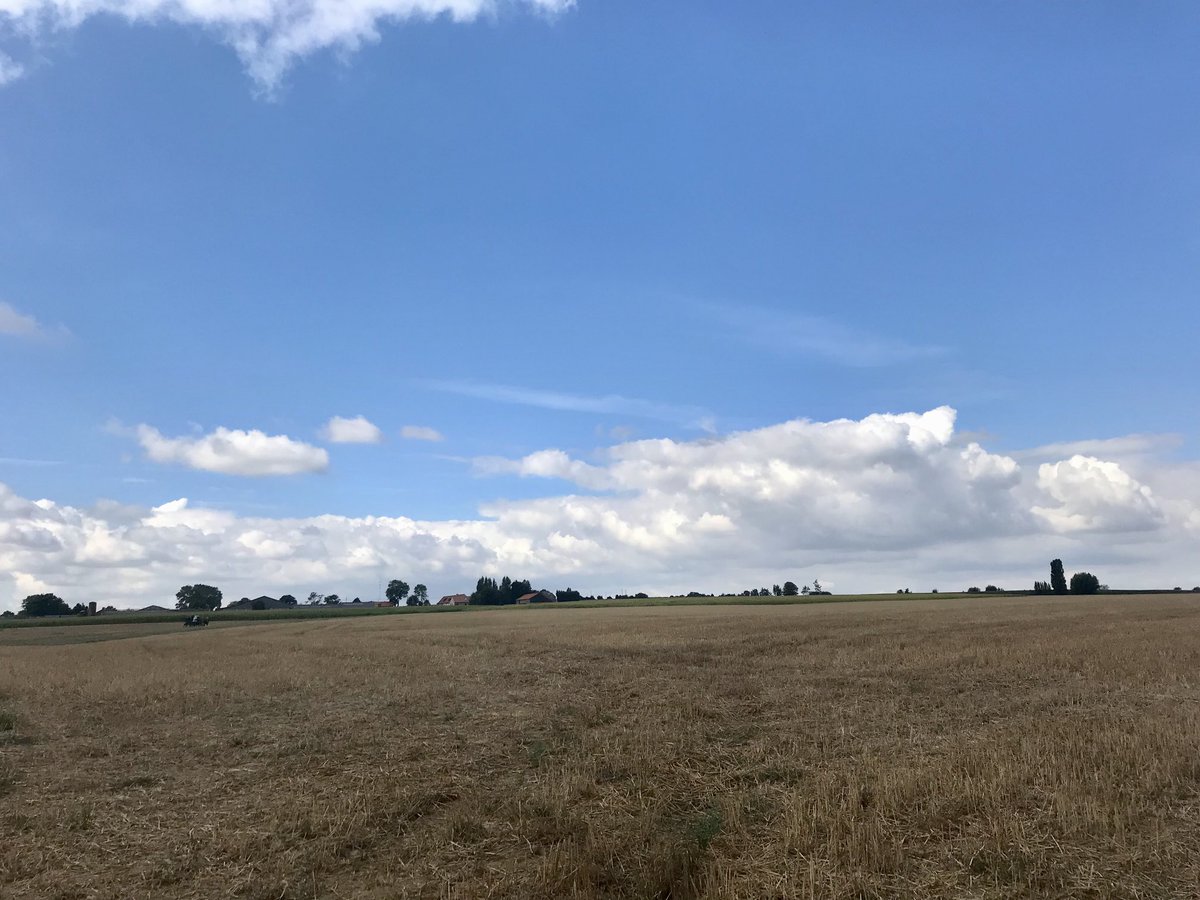 EddyMisman's tweet photo. #vrtweer @BuienradarBE @HetweerinBelgie foto’s genomen tussen 11u30 en 12u00 te Westouter #stiltepad https://t.co/zgN7GAHEEx