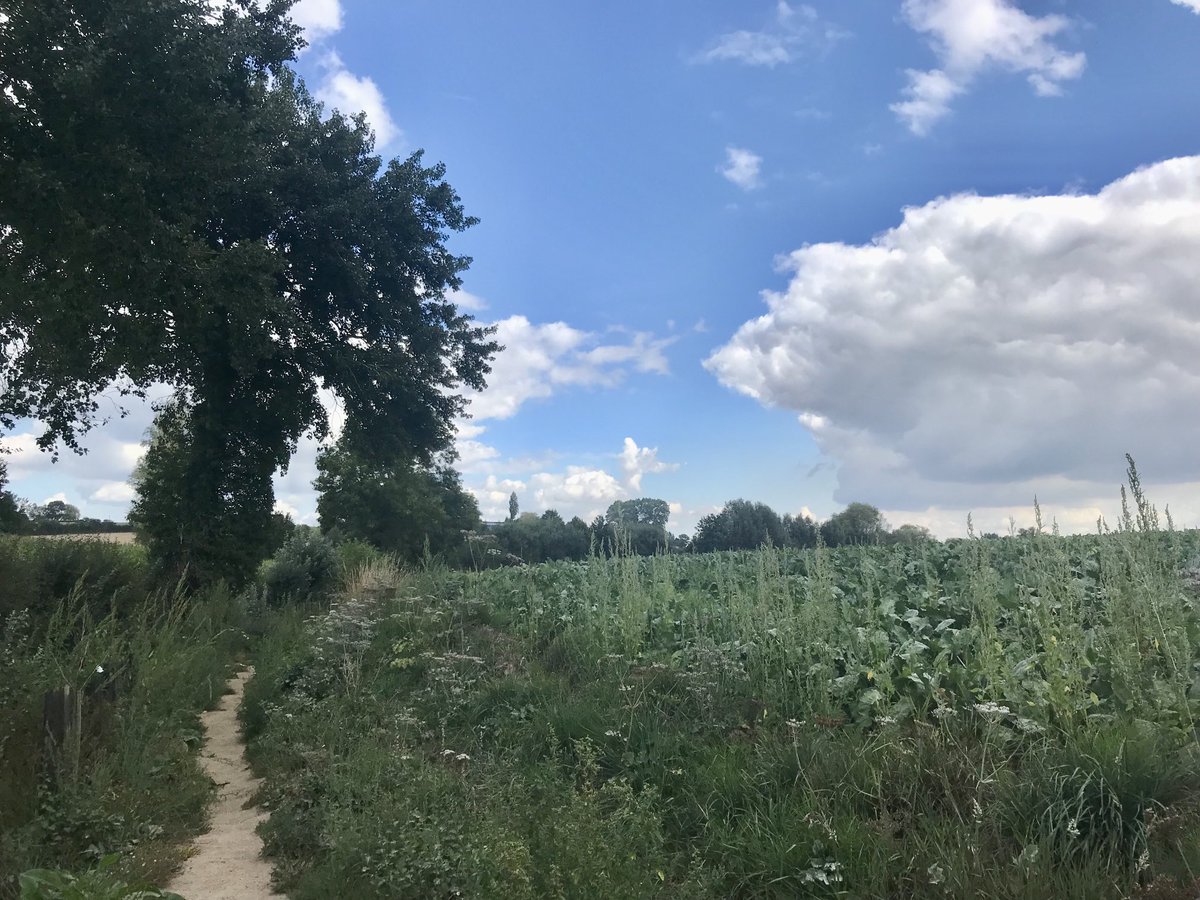 EddyMisman's tweet photo. #vrtweer @BuienradarBE @HetweerinBelgie foto’s genomen tussen 11u30 en 12u00 te Westouter #stiltepad https://t.co/zgN7GAHEEx