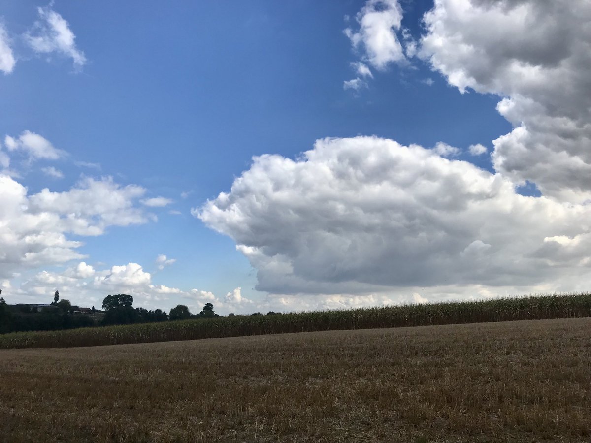 EddyMisman's tweet photo. #vrtweer @BuienradarBE @HetweerinBelgie foto’s genomen tussen 11u30 en 12u00 te Westouter #stiltepad https://t.co/zgN7GAHEEx