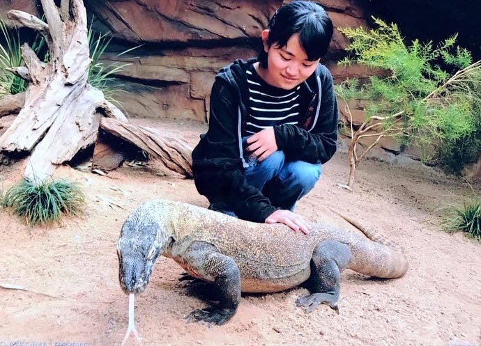 KBromeliads's tweet photo. オーストラリアズー🇦🇺のコモドドラゴン 
コモドオオトカゲ Varanus komodoensis
#australiazoo 
#varanus 
#varanuskeeper 
#varanuskomodoensis https://t.co/XUbyOGmz5F
