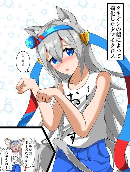 ニャマモクロス🐱
※猫化 