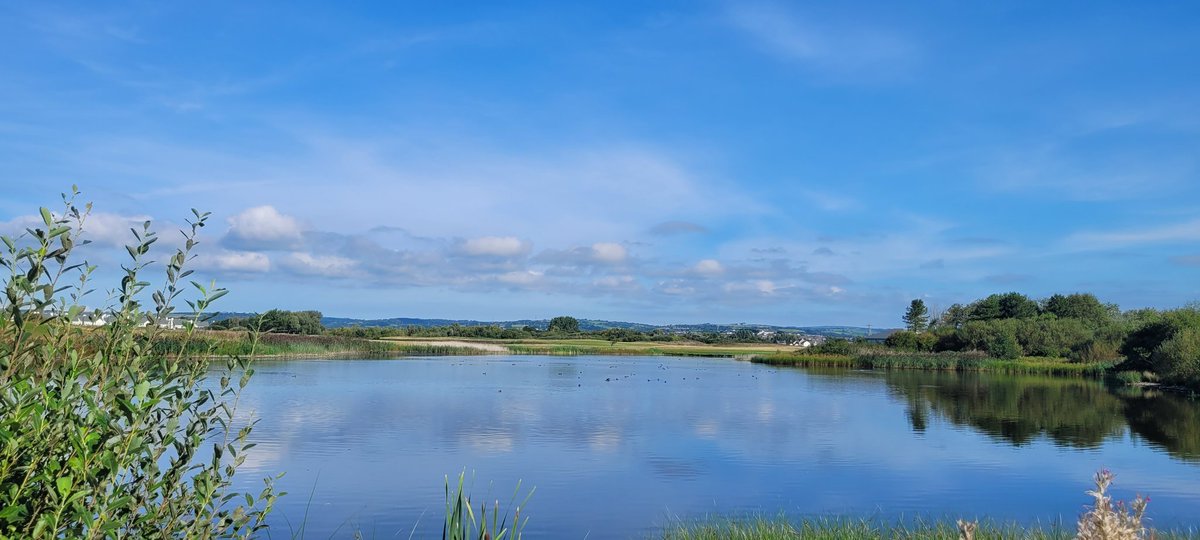 EyesEvs's tweet photo. Bore braf ar llwybr arfordir Llanelli. A beautiful morning on Llanelli coastal path #machynys @StormHour @S4Ctywydd @ThePhotoHour @WalesCoastPath @ItsYourWales @DerekTheWeather @MachynysGC https://t.co/xdTCX92A4g