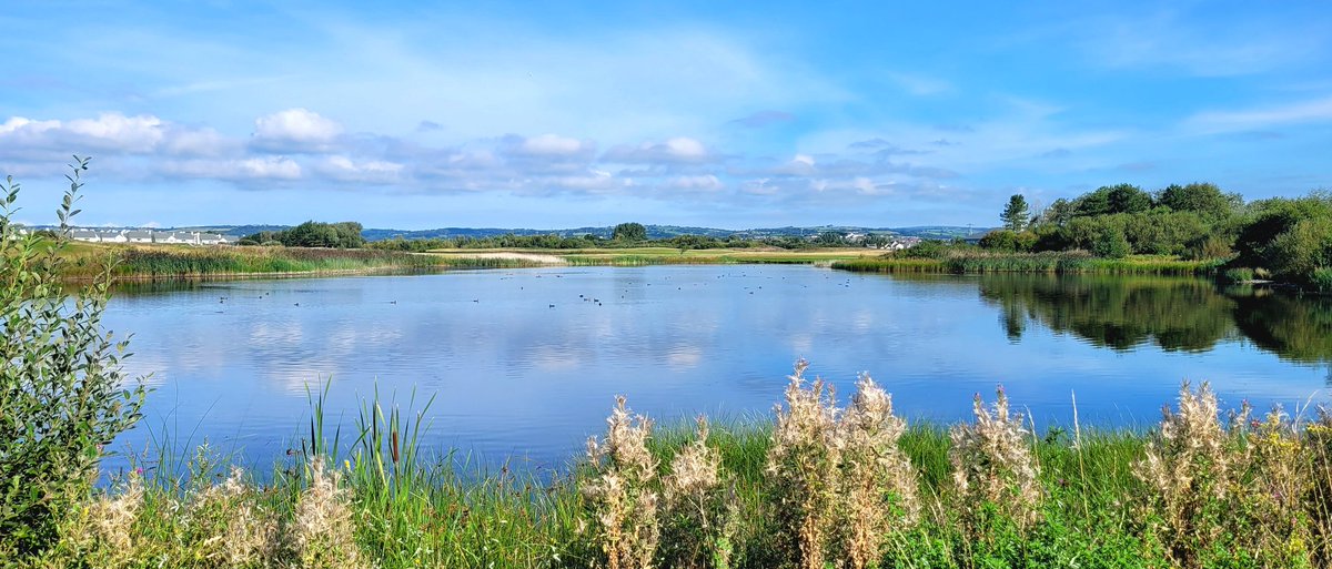 Bore braf ar llwybr arfordir Llanelli. A beautiful morning on Llanelli coastal path #machynys @StormHour @S4Ctywydd @ThePhotoHour @WalesCoastPath @ItsYourWales @DerekTheWeather @MachynysGC