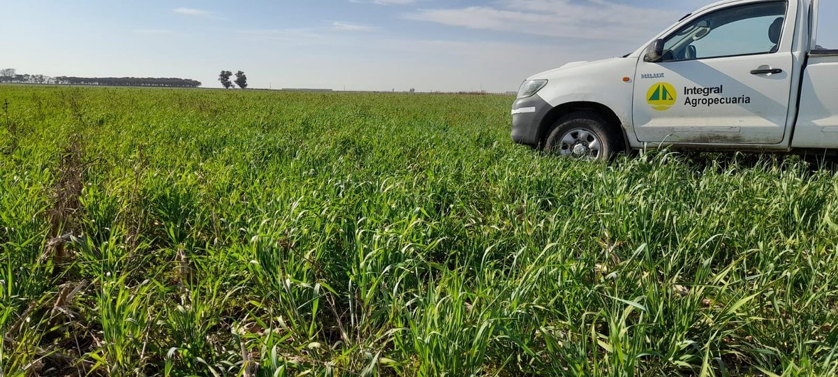 Integral Agropecuaria SRL tweet media
