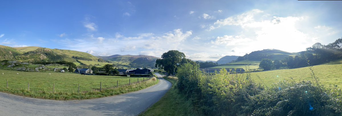 Swapping the sunflower fields of Dordogne for the beautiful Welsh mountains for the holiday run  🏃‍♀️Way better than the boring treadmill @UHNMCOO @UHNM_NHS