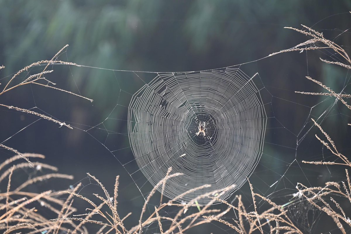 🥰Kunst in #oldebroek 📸