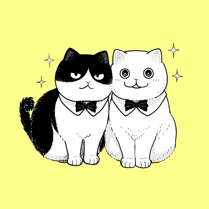 おしらせツレ猫 マルルとハチは公式Instagramのアカウントを作って情報発信してますインスタに作者のアカウントもありますし みなさまのお好きなSNS経由で情報追っていただければありがたいです 