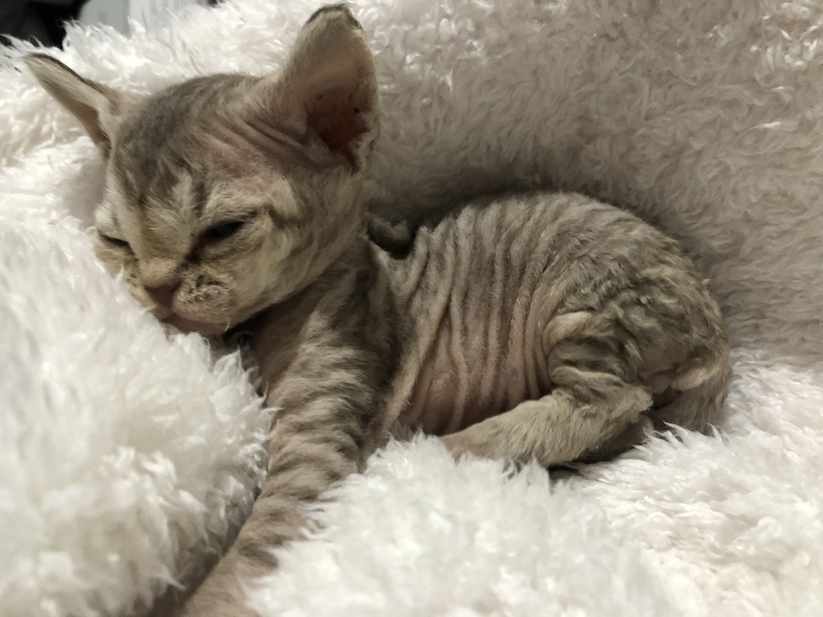 maeuxivi's tweet photo. goodnight 💤💤 https://t.co/sw2LPE47Hr