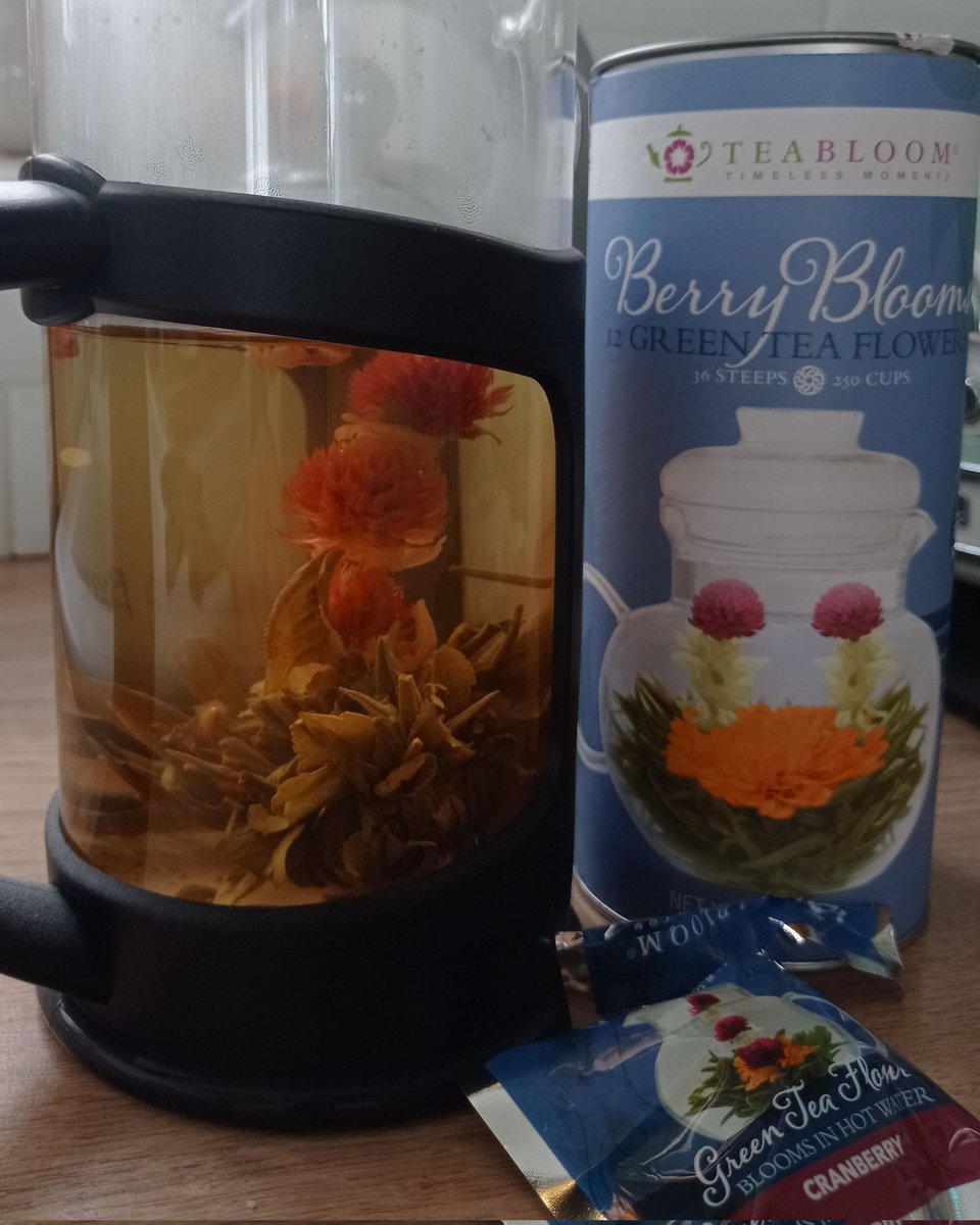 #saturdayvibes <a href="/teabloom/">Teabloom</a> #chillax #craberry #floweringtea #berrybloom