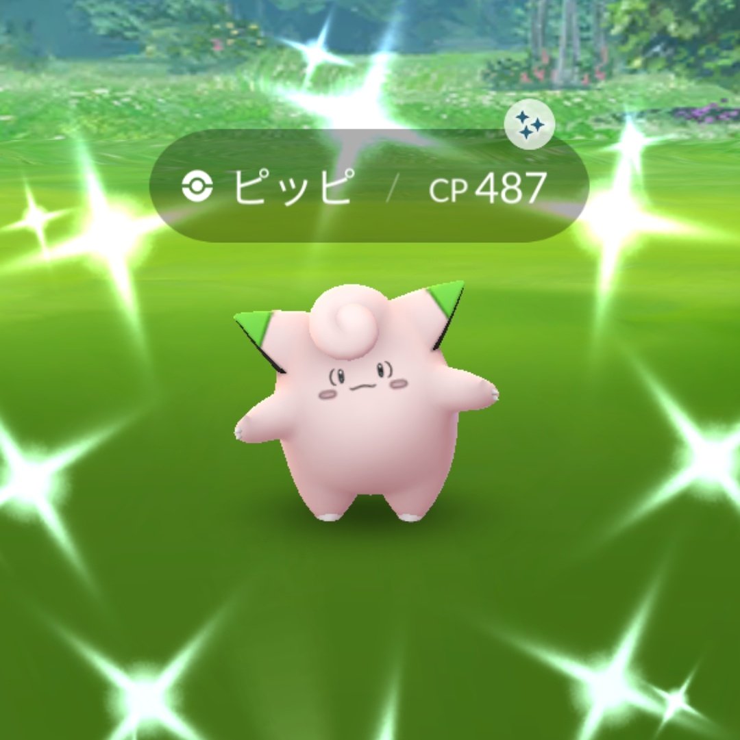 ぴっぴ Pippi Twitter ぴっぴ Pippi Twitter