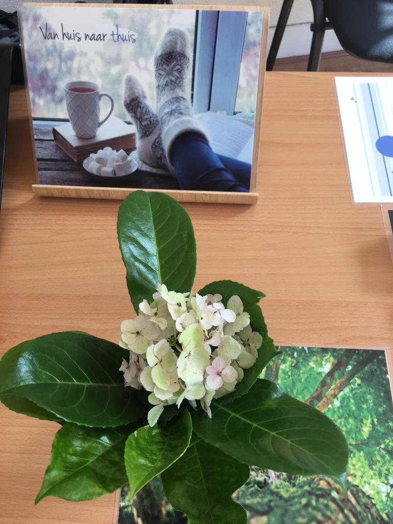 CentrumDePoort's tweet photo. #OpenDag in de Poort #Groningen, we zijn er klaar voor! Voor het proeflesprogramma kijk op: https://t.co/kb9HQ749Fb https://t.co/aehJW4Q73k