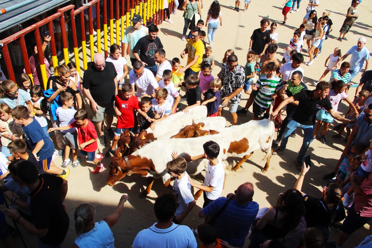 Arganda_Ayto's tweet photo. La ganadería Toros de Santander Redondo ha realizado una trashumancia de bueyes pequeños por la calle San Juan con final en la Plaza de la Constitución #Arganda https://t.co/fZG2veGaHG