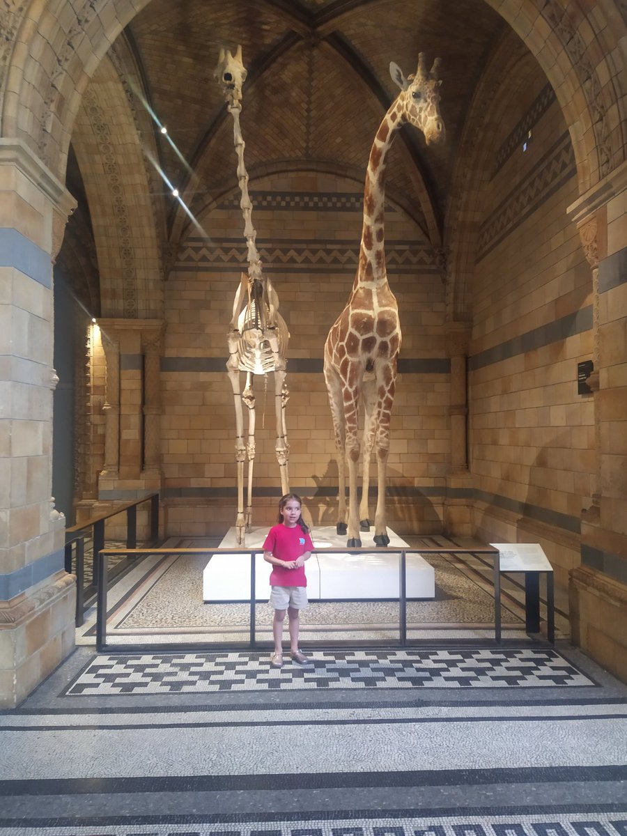 Listed801's tweet photo. Yesterday went to London with mum and dad then popped into the national history museum for a quick walk before it closed @TVInfants #makingmemories #nhm #naturalhistorymuseum #London #summerholidays https://t.co/OxD4oMDMGM