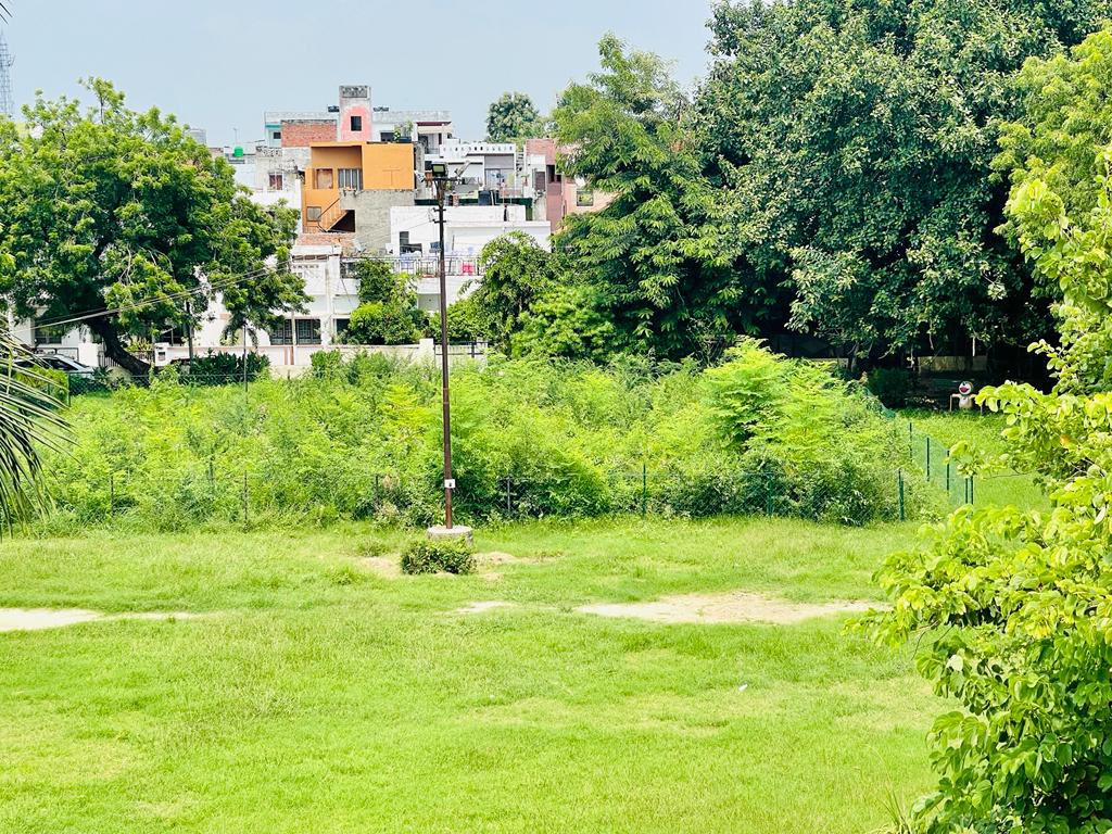 tnagarco's tweet photo. This park at Aligaanj Opposite MS44 is maintained Jointly by Van Vibhag and Nagar NIGAM under Miyawaki Project of UP CM @CMOfficeUP .However No one Maintain Park @VanVibhag @nagarnigamlko @Lucknownn https://t.co/TX19y03ebm