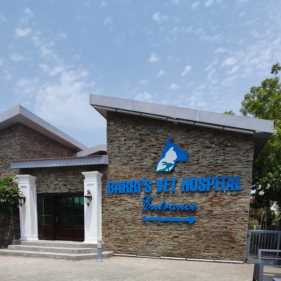 هيام حدادي tweet media